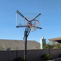 Basketball Hoop (FREE)