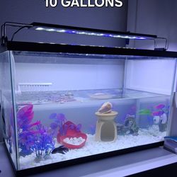 10 GALLONS FISH TANK WITH TOP LIGHT BAR INCLUDED