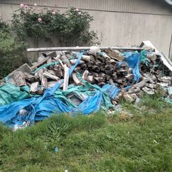 Firewood