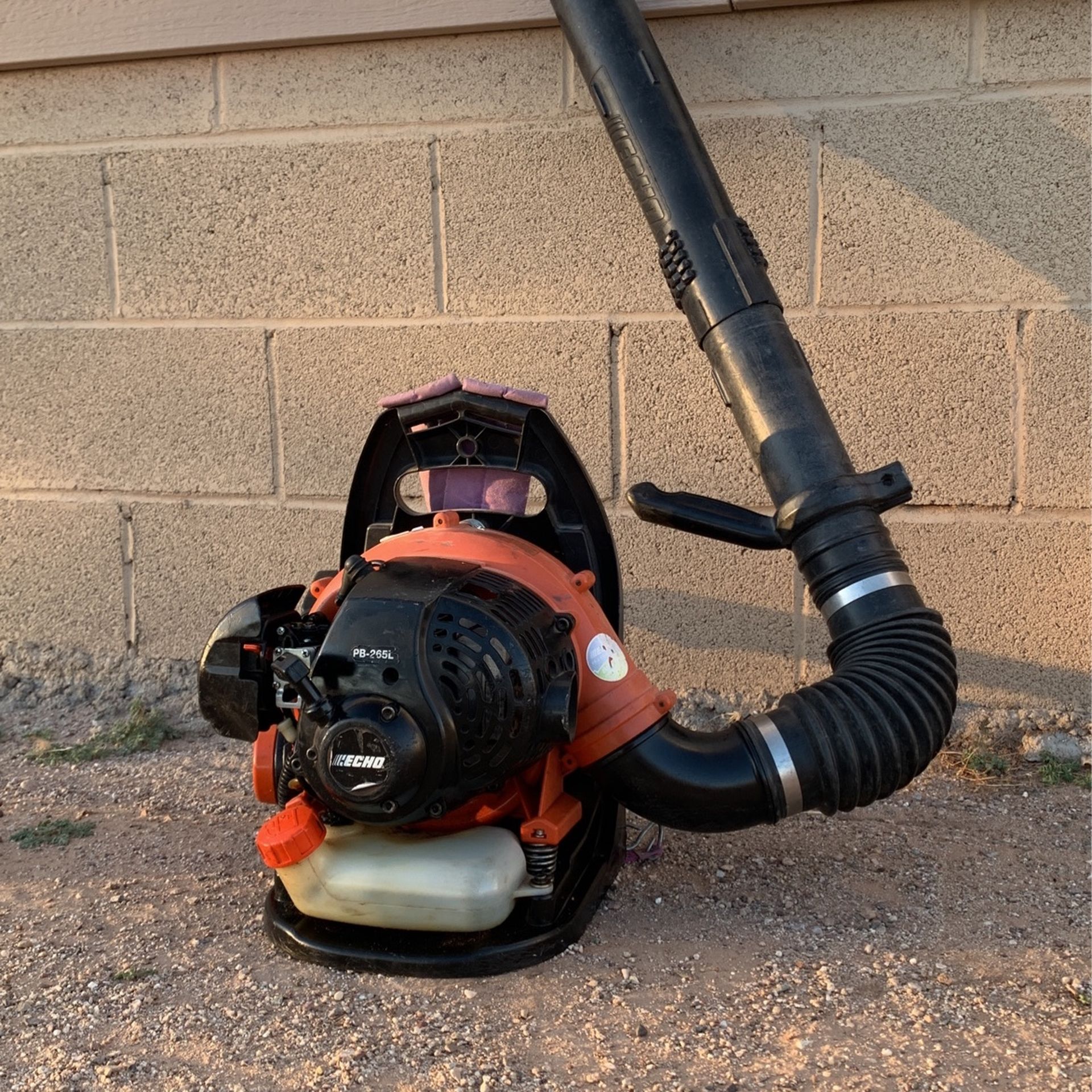 Echo Backpack Blower