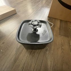 Water Fountain For Cats 