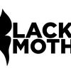Black Moth