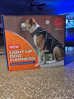 🐶 Light-Up Dog Harness — Size S