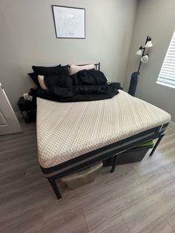 Queen Mattress and/or Bed Frame