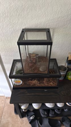 Reptile tanks