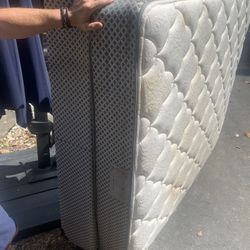 Mattresses And Box Springs