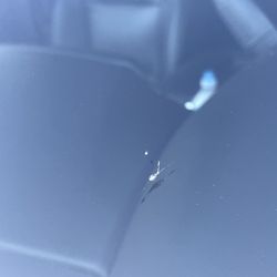 Chip Windshield 