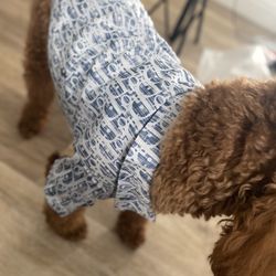 Dog Dressy Shirt