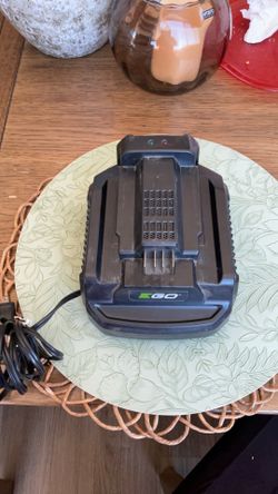 Battery charger. Make me an offer.
