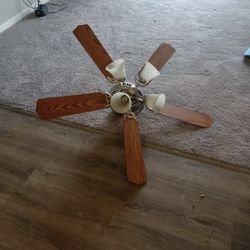 Ceiling Fan 