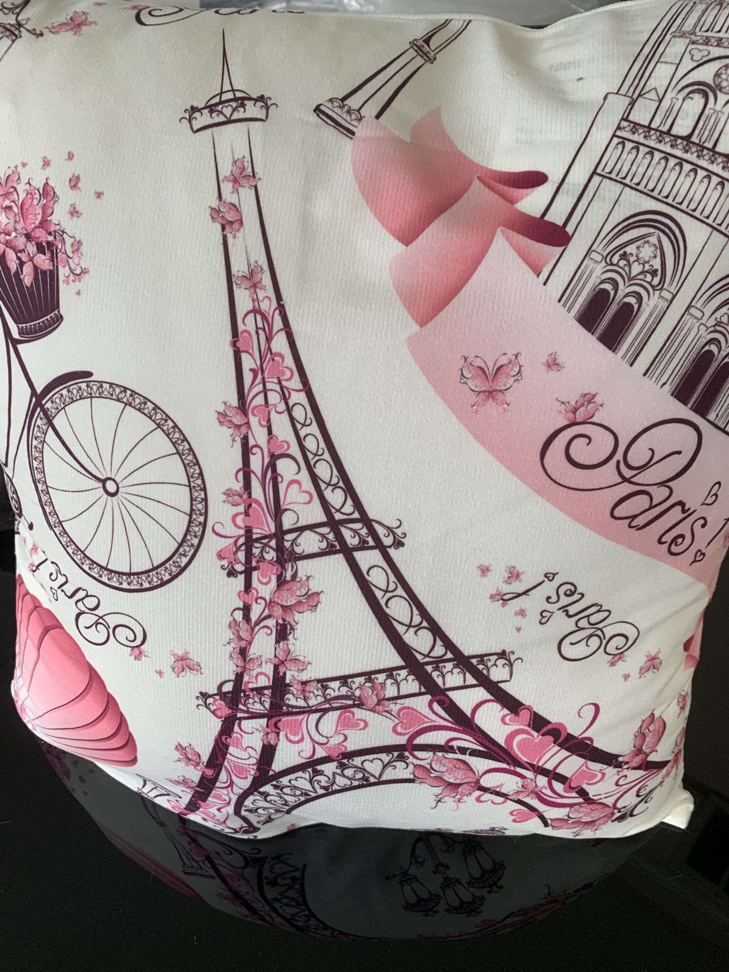 PARIS PILLOWS WITH CUSHION FILLER