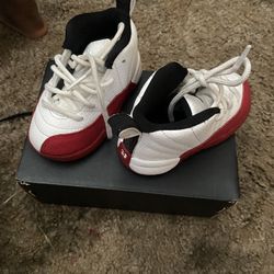 TD Shoes Jordan 12s 