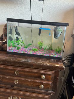 10 gallon tank