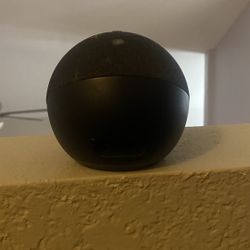 Black Alexa 