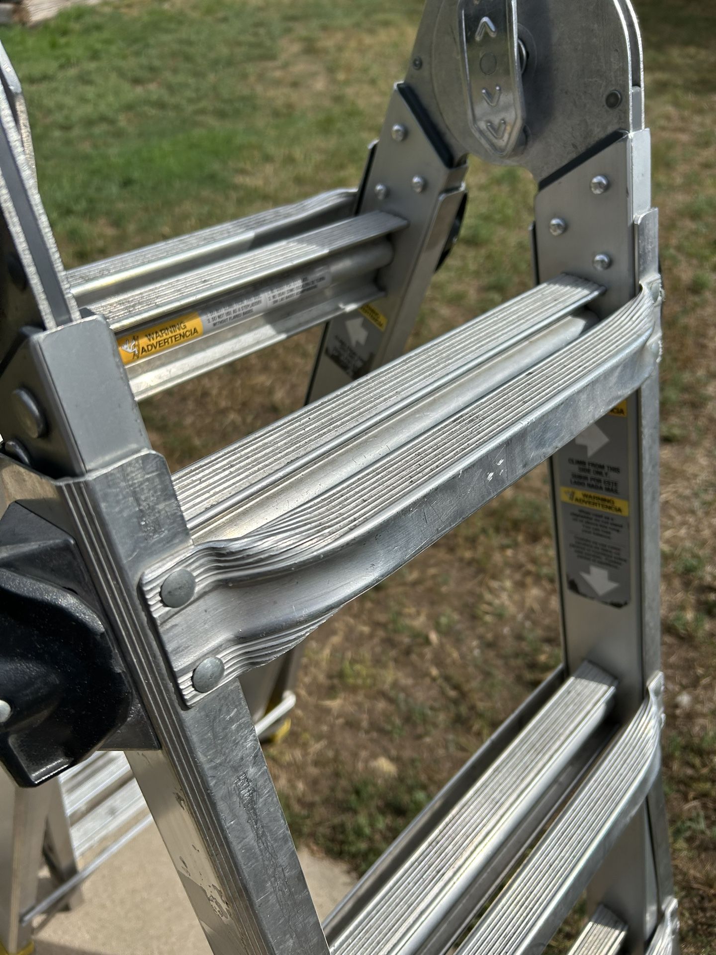 Gorilla Ladder