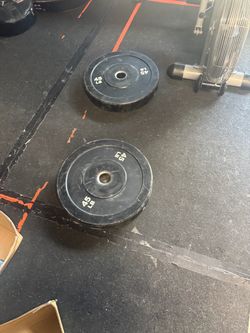Synergee 45lb bumper plates