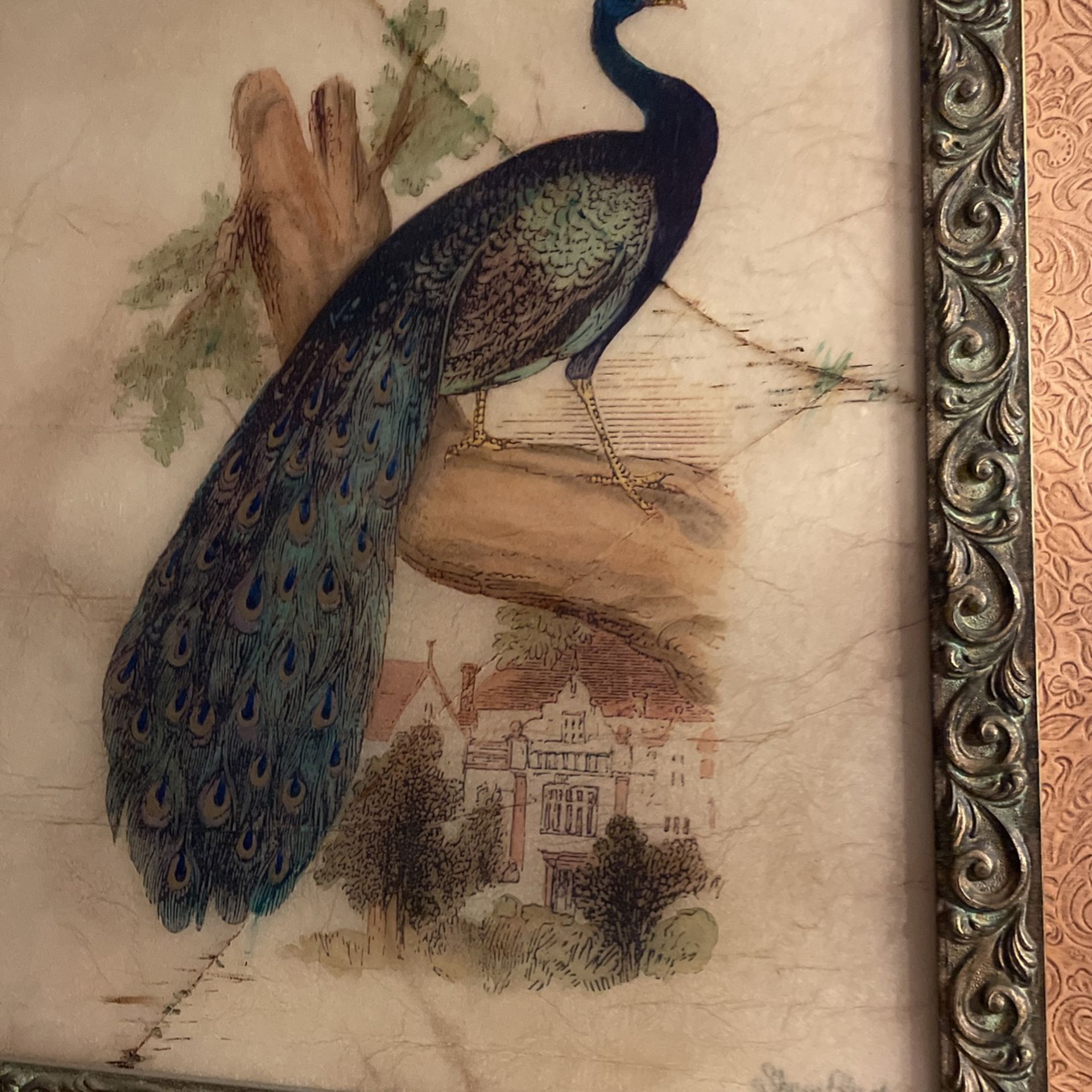 Art Work Collection
