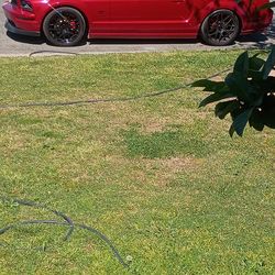 2008 Ford Mustang