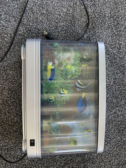 Fish lamp