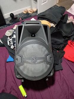 Portable PA Speaker