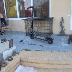 E Scooter 
