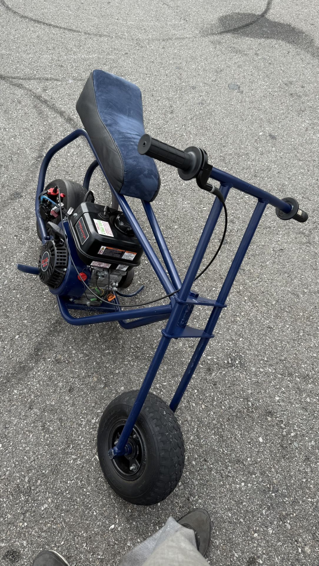 navy blue mini bike