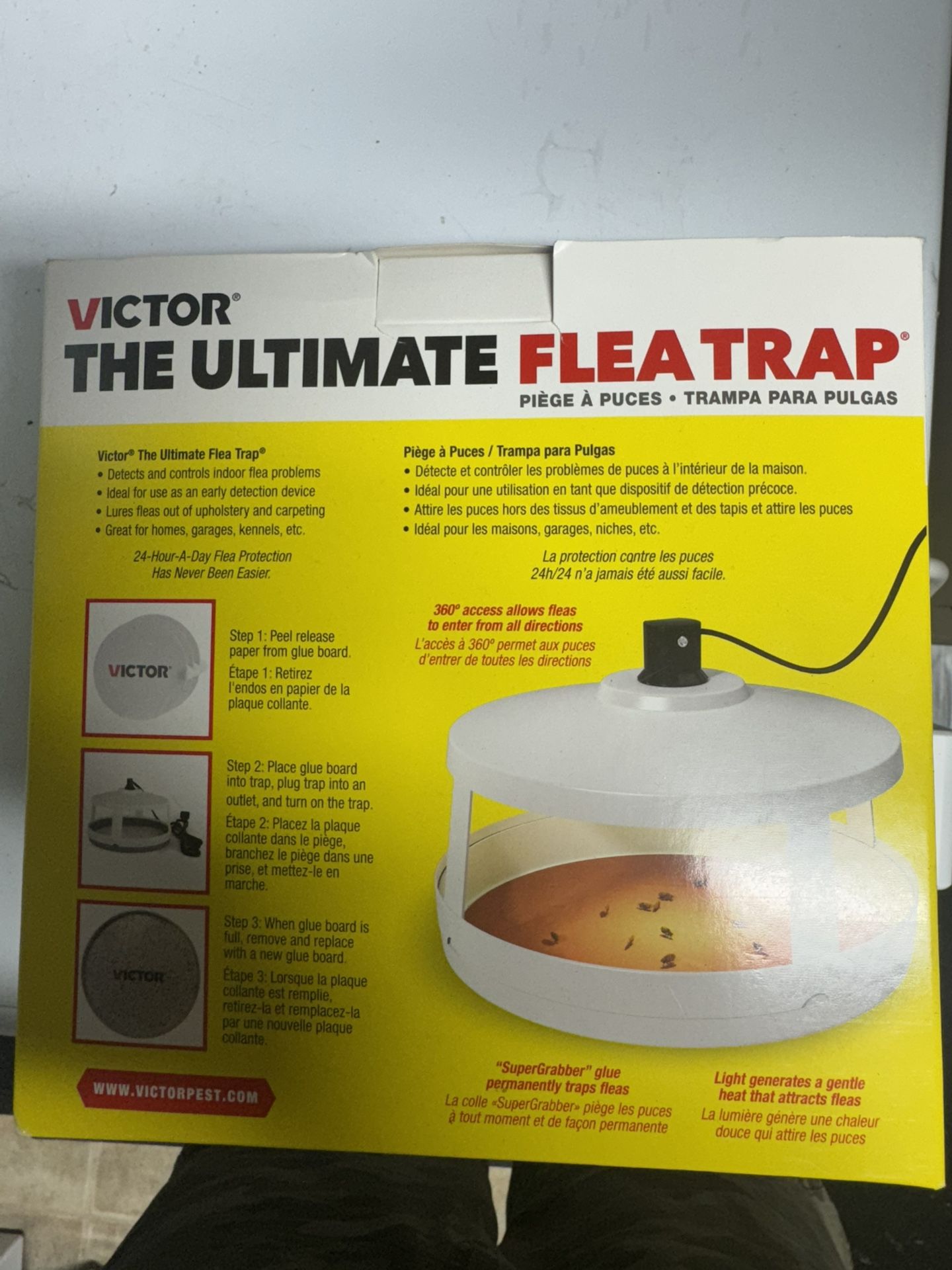 The Ultimate Flea Trap