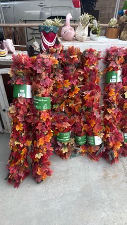 Foliage privacy 96by 40