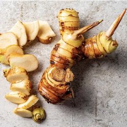 Galangal ( Thai Ginger ) Plant 