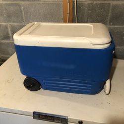 Igloo Cooler