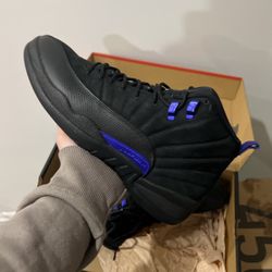 Jordan 12 dark concord 