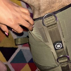 Bully Billows Weighted Vest 