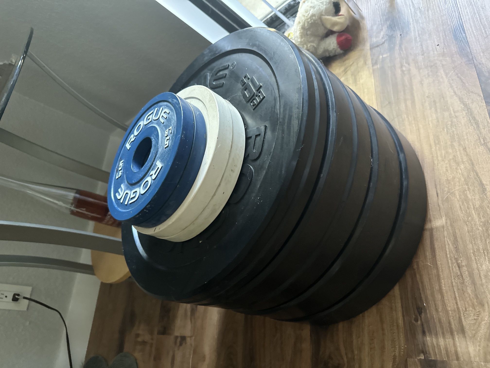 Weightlifting Plates 