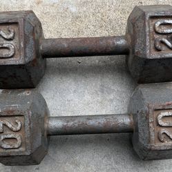 Dumb Bells 