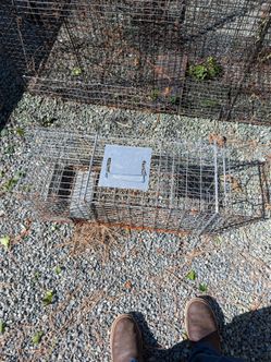 Cage trap