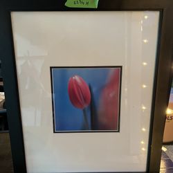 Floral Pictures 