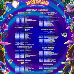 Beyond Wonderland Saturday Vip