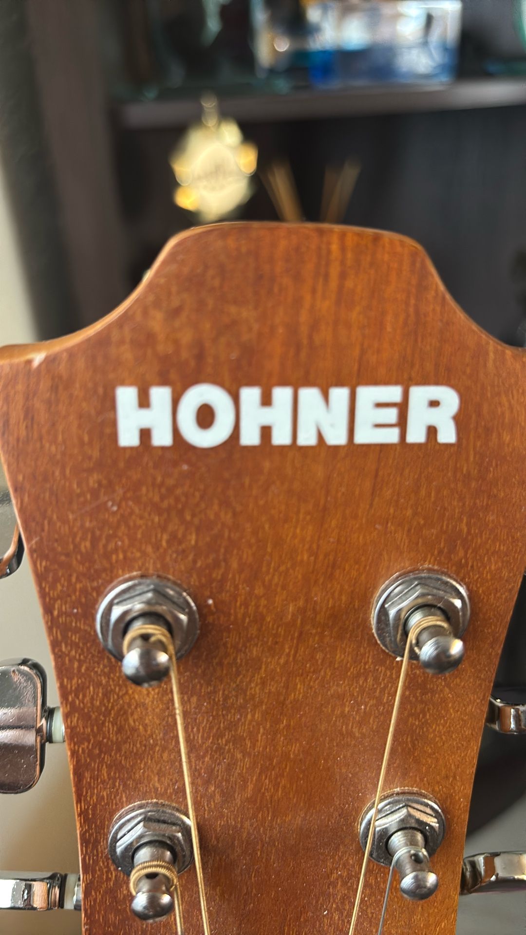 Hohner Gabanelli Guitar Classic Panther Accordion