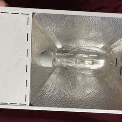 Grow Light For Plants