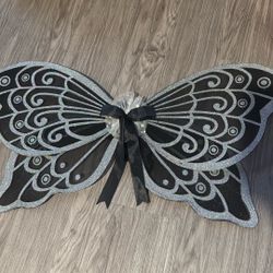 Glitter Butterfly Wings