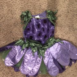 Kids Size Small Tinkerbell Costume