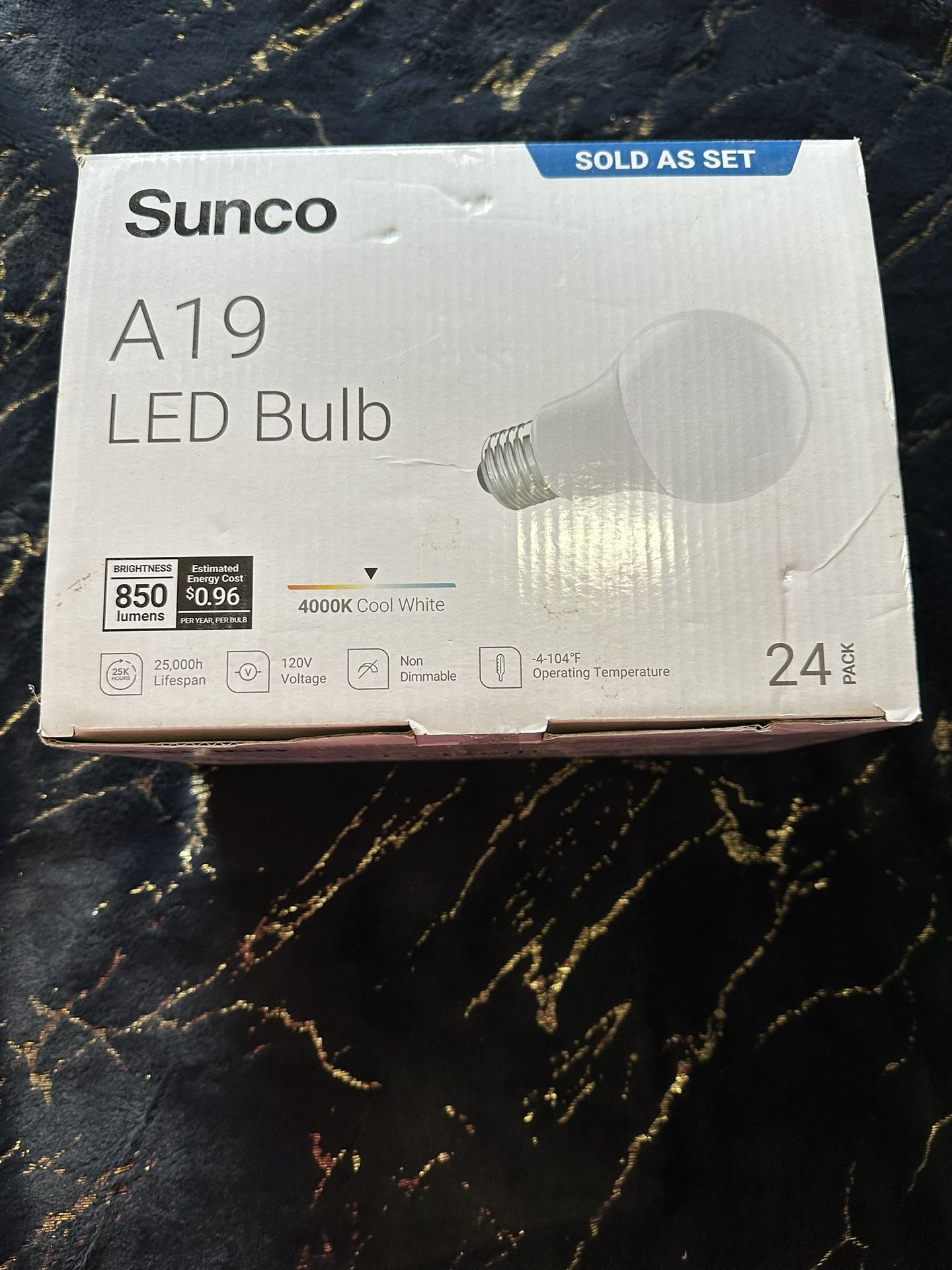 A19 LED Light Bulbs Case