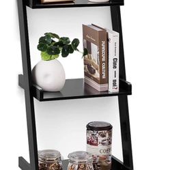 Ladder Shelf 