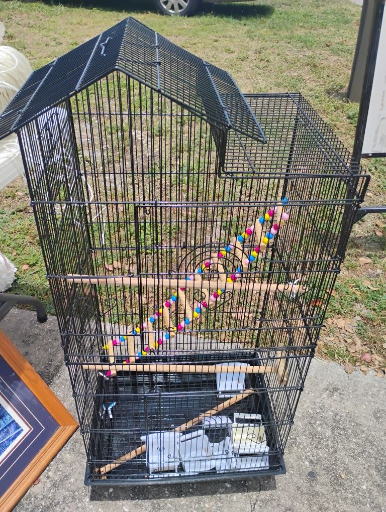 Bird Cage