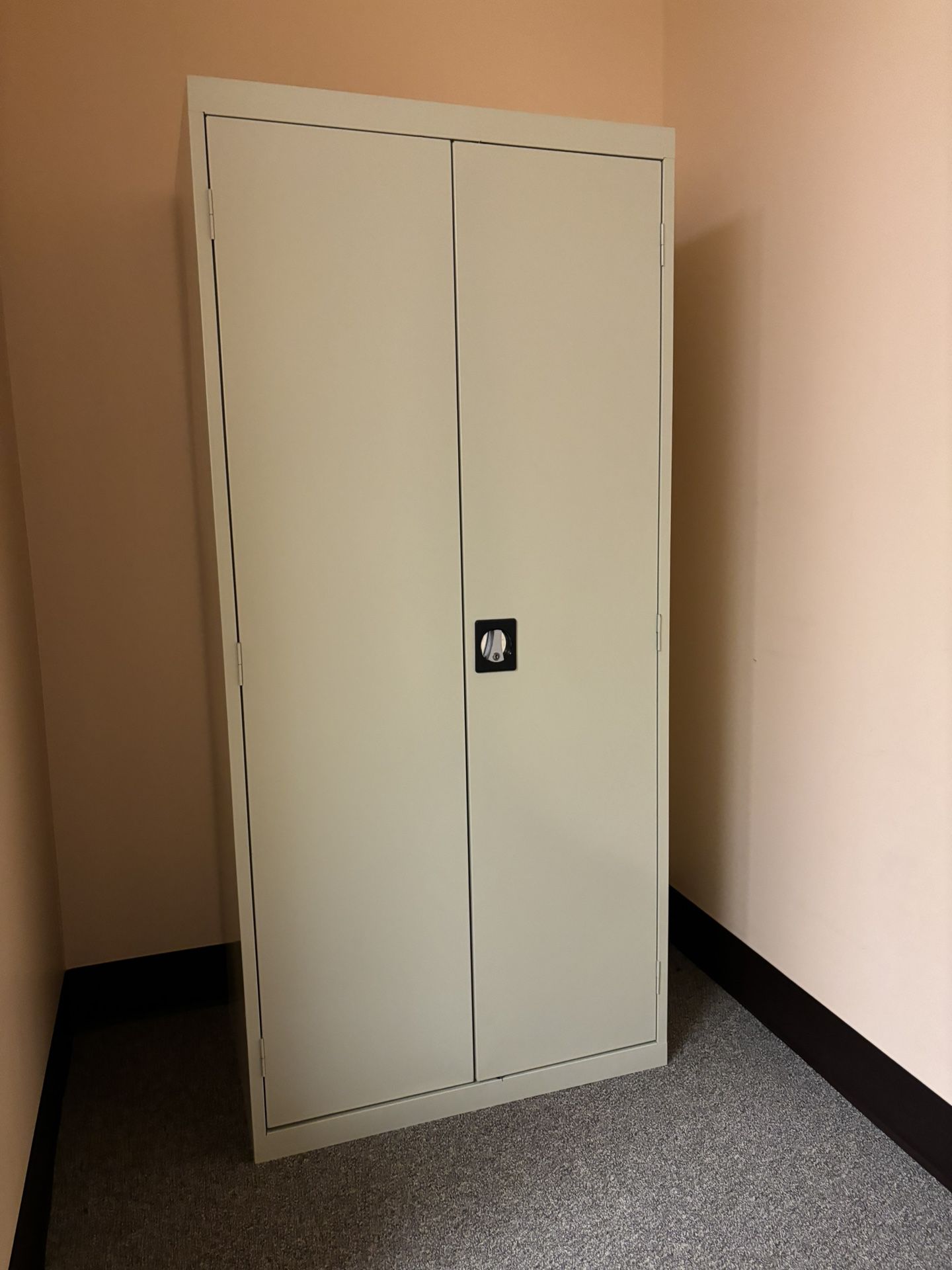 Large Storage Cabinet 