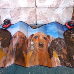 Windshield Sun  Shade With Five Dachshunds On It!