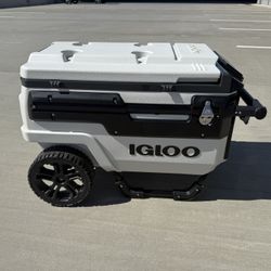 Igloo Cooler
