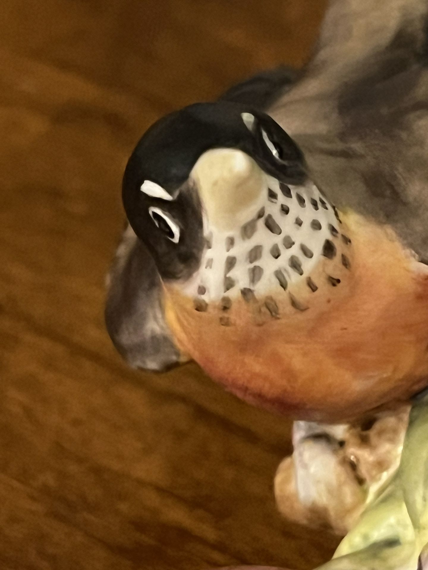 American robin Bone China Figurine