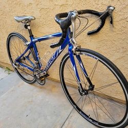 Small Giant OCR Multiplespeed