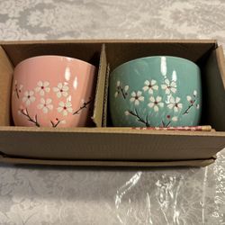 Two Sakura Pastel Noodle Bowl Set